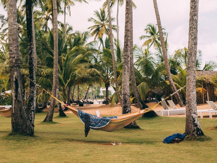 green palm trees with beige hammock